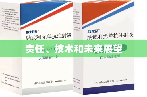 绍兴责任、技术和未来展望