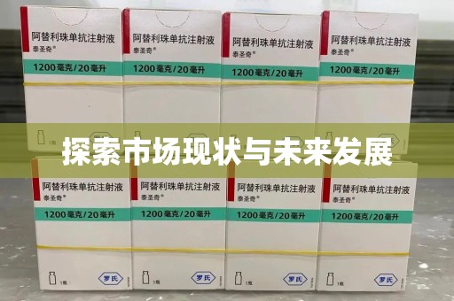 绍兴探索市场现状与未来发展