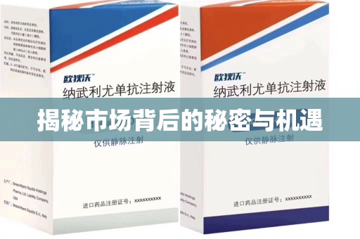 绍兴揭秘市场背后的秘密与机遇