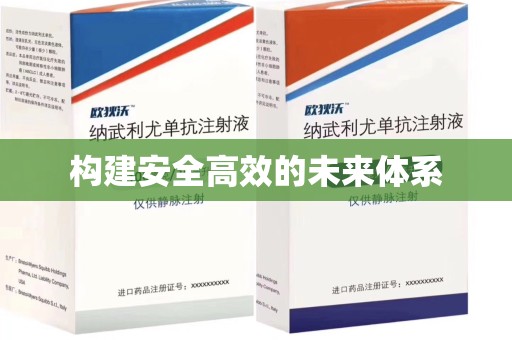 绍兴构建安全高效的未来体系