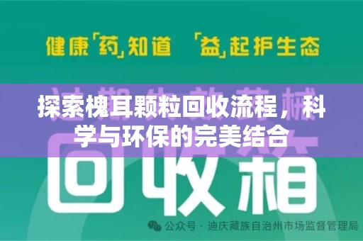 绍兴探索槐耳颗粒回收流程，科学与环保的完美结合
