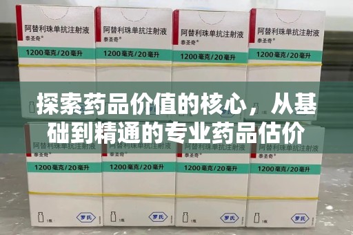 绍兴探索药品价值的核心，从基础到精通的专业药品估价