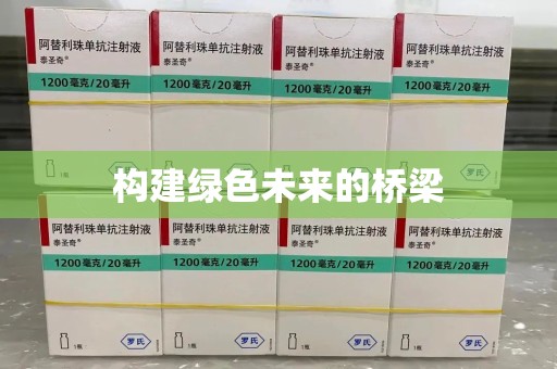 绍兴构建绿色未来的桥梁