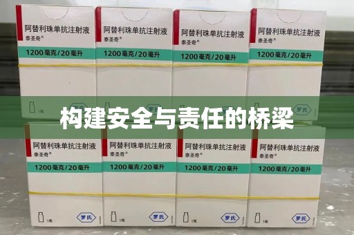 绍兴构建安全与责任的桥梁