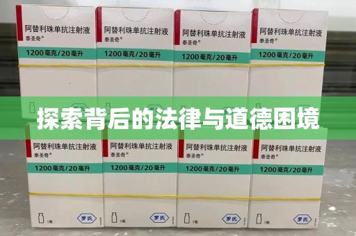 绍兴探索背后的法律与道德困境